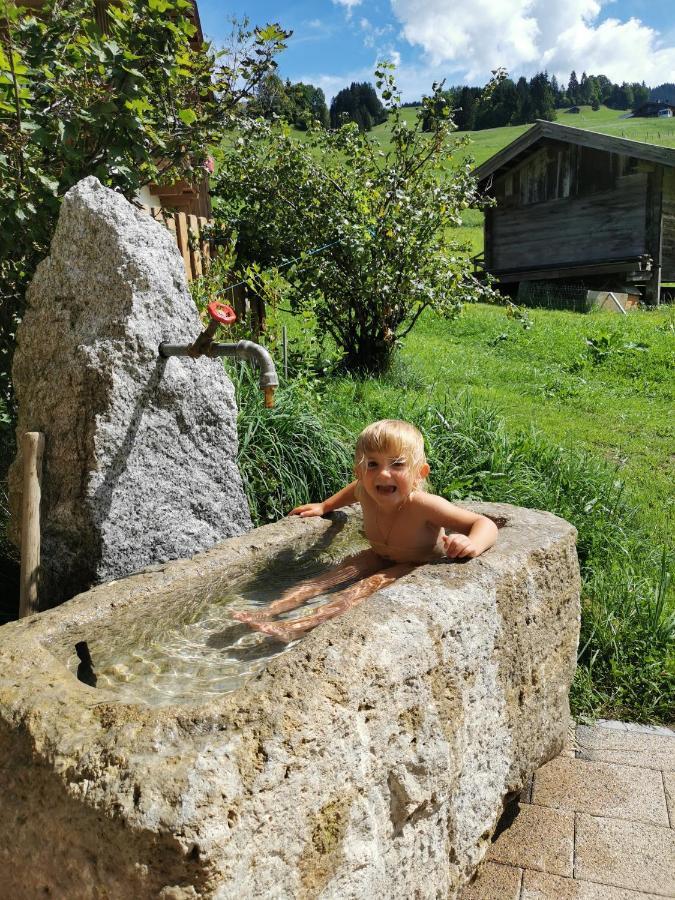 Beim Rohrer Daire Kirchberg in Tirol Dış mekan fotoğraf