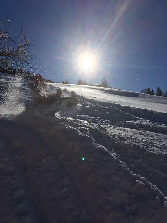 Beim Rohrer Daire Kirchberg in Tirol Dış mekan fotoğraf