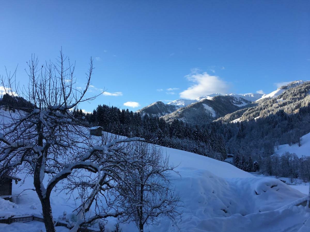 Beim Rohrer Daire Kirchberg in Tirol Dış mekan fotoğraf