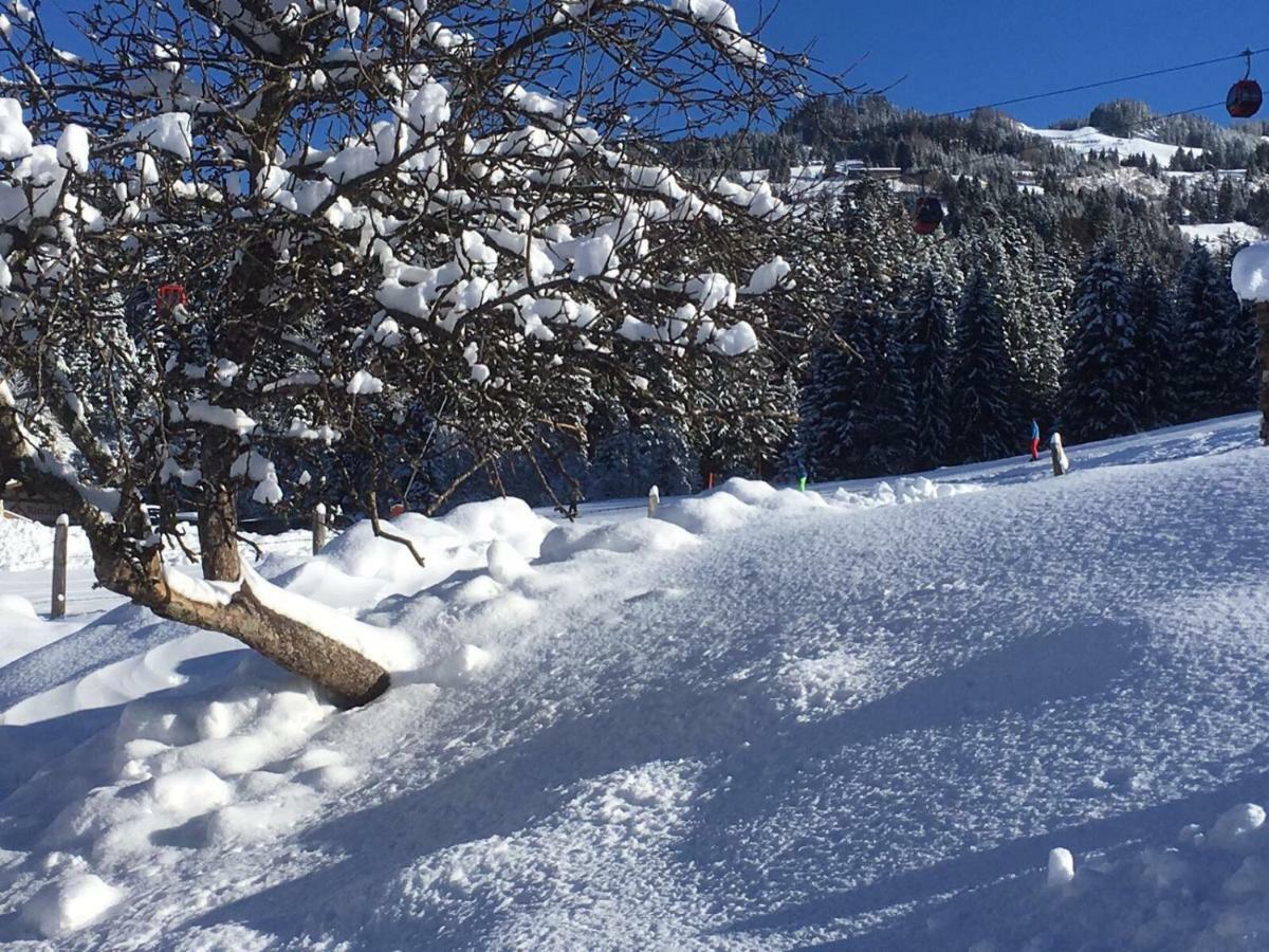 Beim Rohrer Daire Kirchberg in Tirol Dış mekan fotoğraf