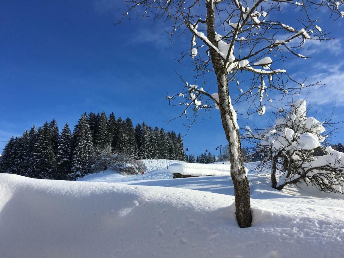 Beim Rohrer Daire Kirchberg in Tirol Dış mekan fotoğraf