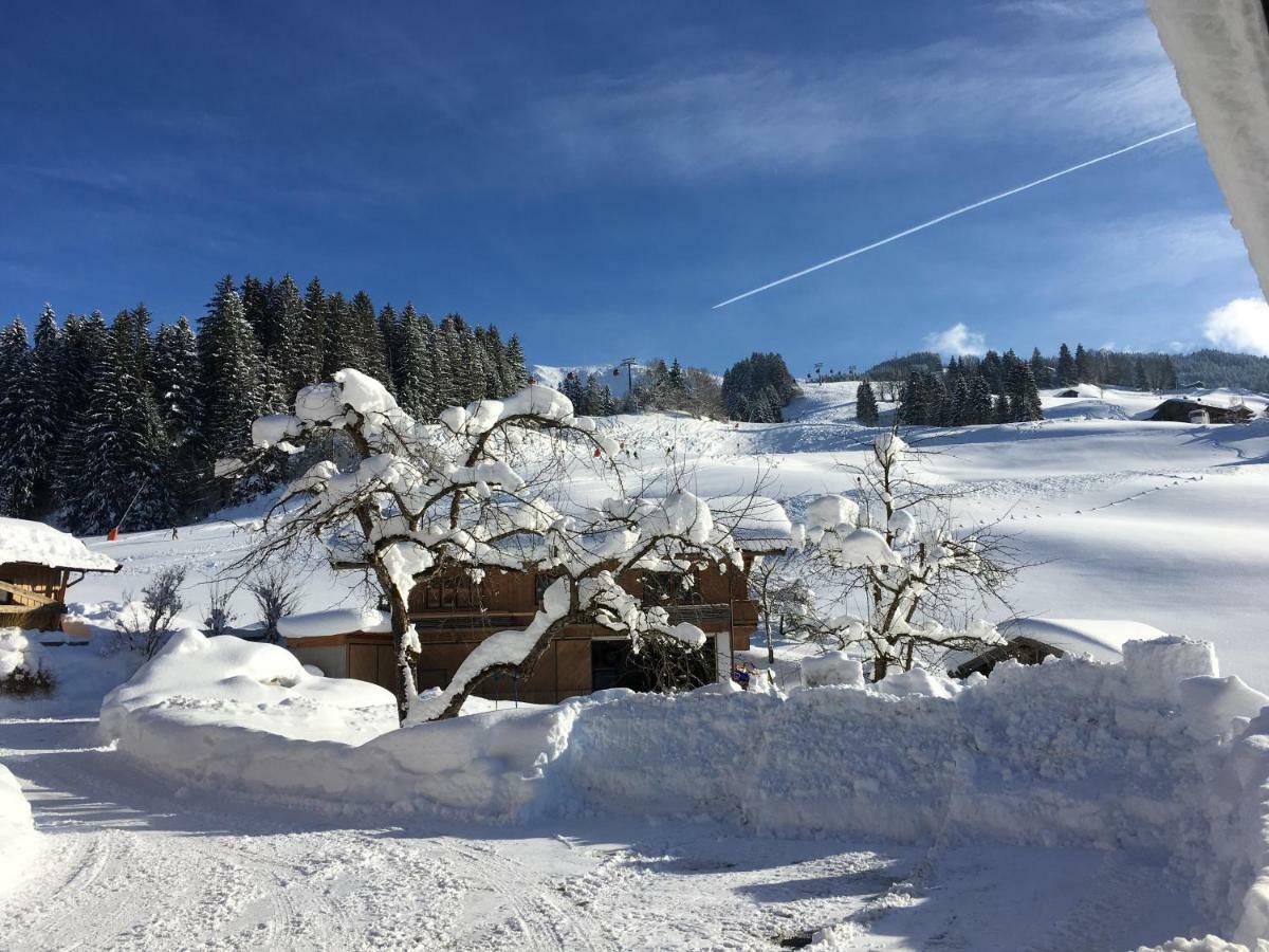 Beim Rohrer Daire Kirchberg in Tirol Dış mekan fotoğraf