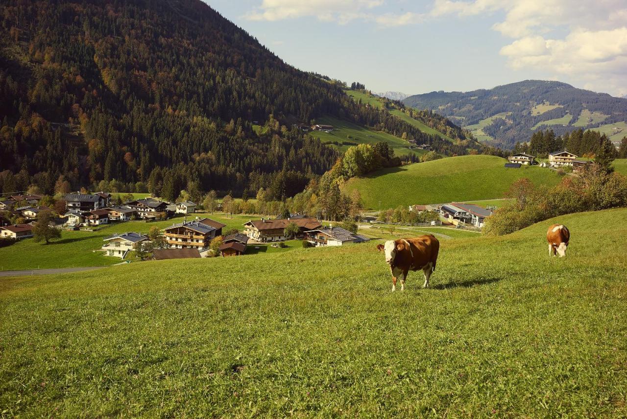 Beim Rohrer Daire Kirchberg in Tirol Dış mekan fotoğraf