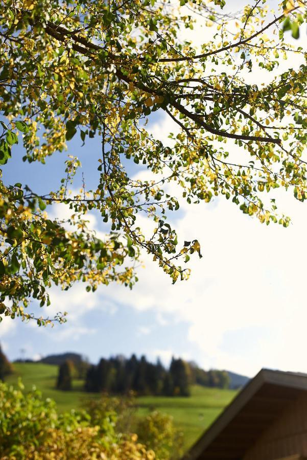 Beim Rohrer Daire Kirchberg in Tirol Dış mekan fotoğraf